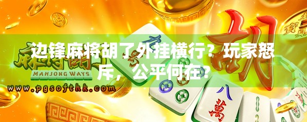 边锋麻将胡了外挂横行?玩家怒斥,公平何在? 边锋麻将胡了外挂横行?玩家怒斥,公平何在?